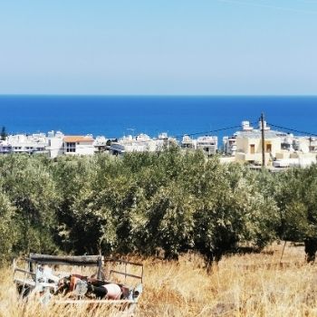 Les hauteurs de Chersonissos (Crète)