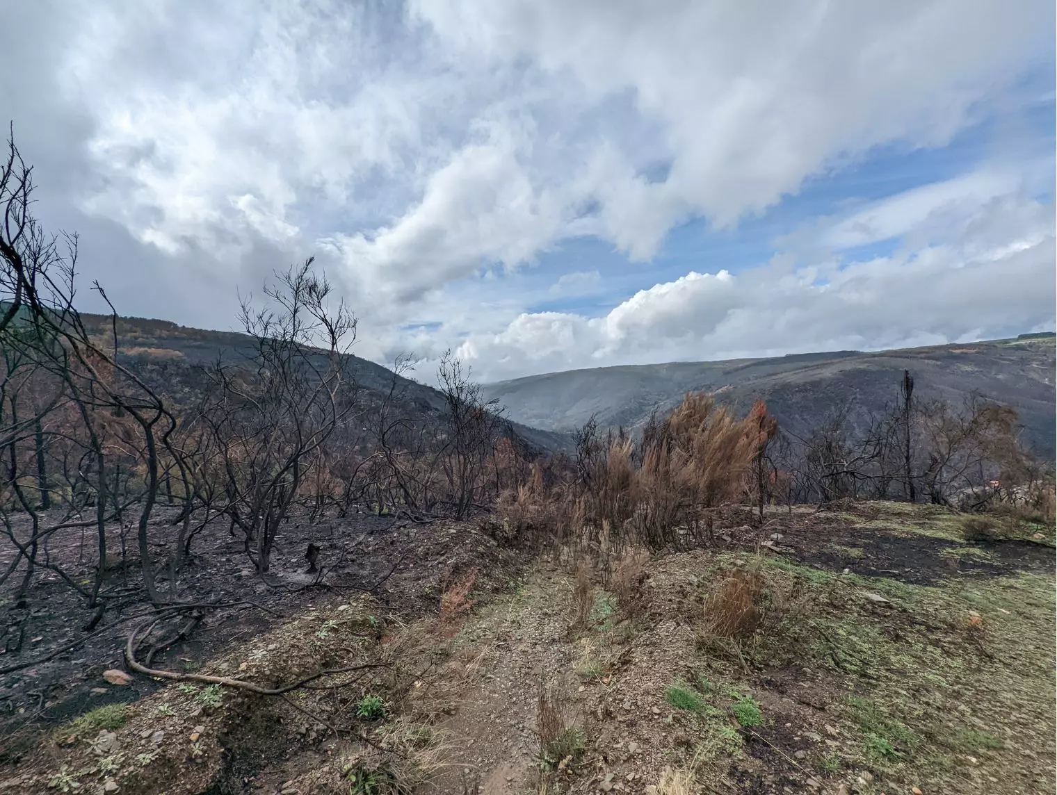 Adventure Country Tracks Portugal - Jour 2 - Forêts brulées