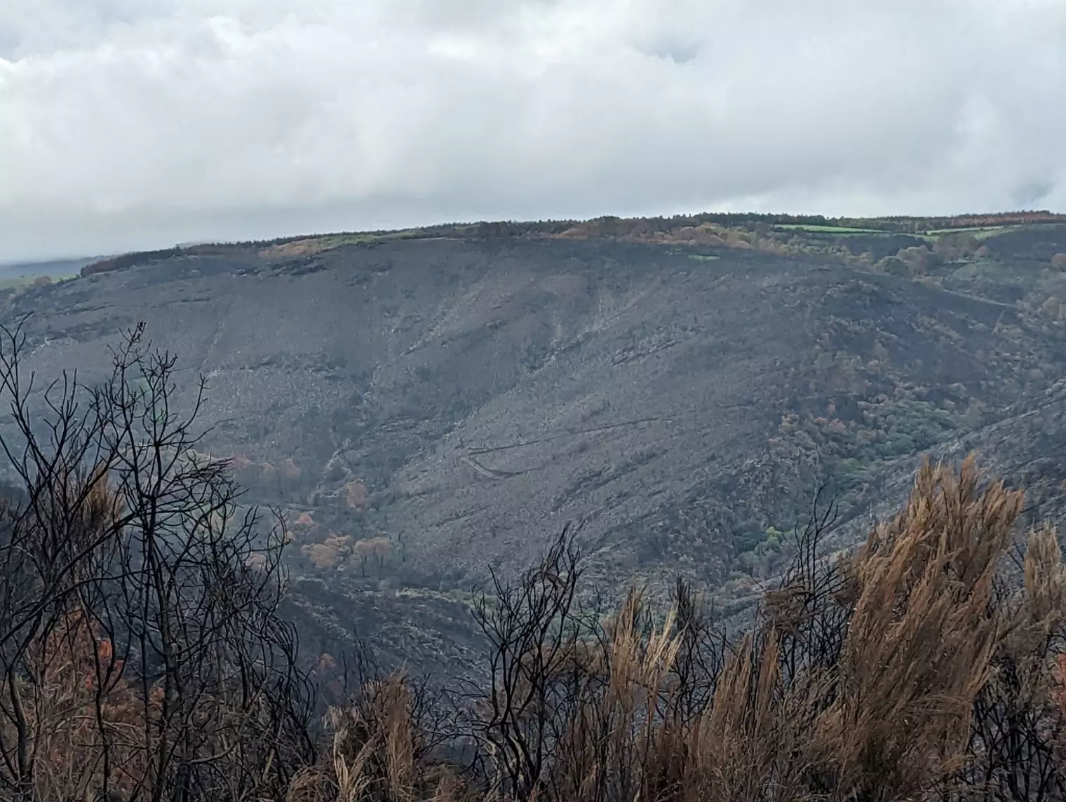 ACT Portugal Moto - Jour 2 - Forêts brûlées près du Parc Naturel de la Serra da Estrela