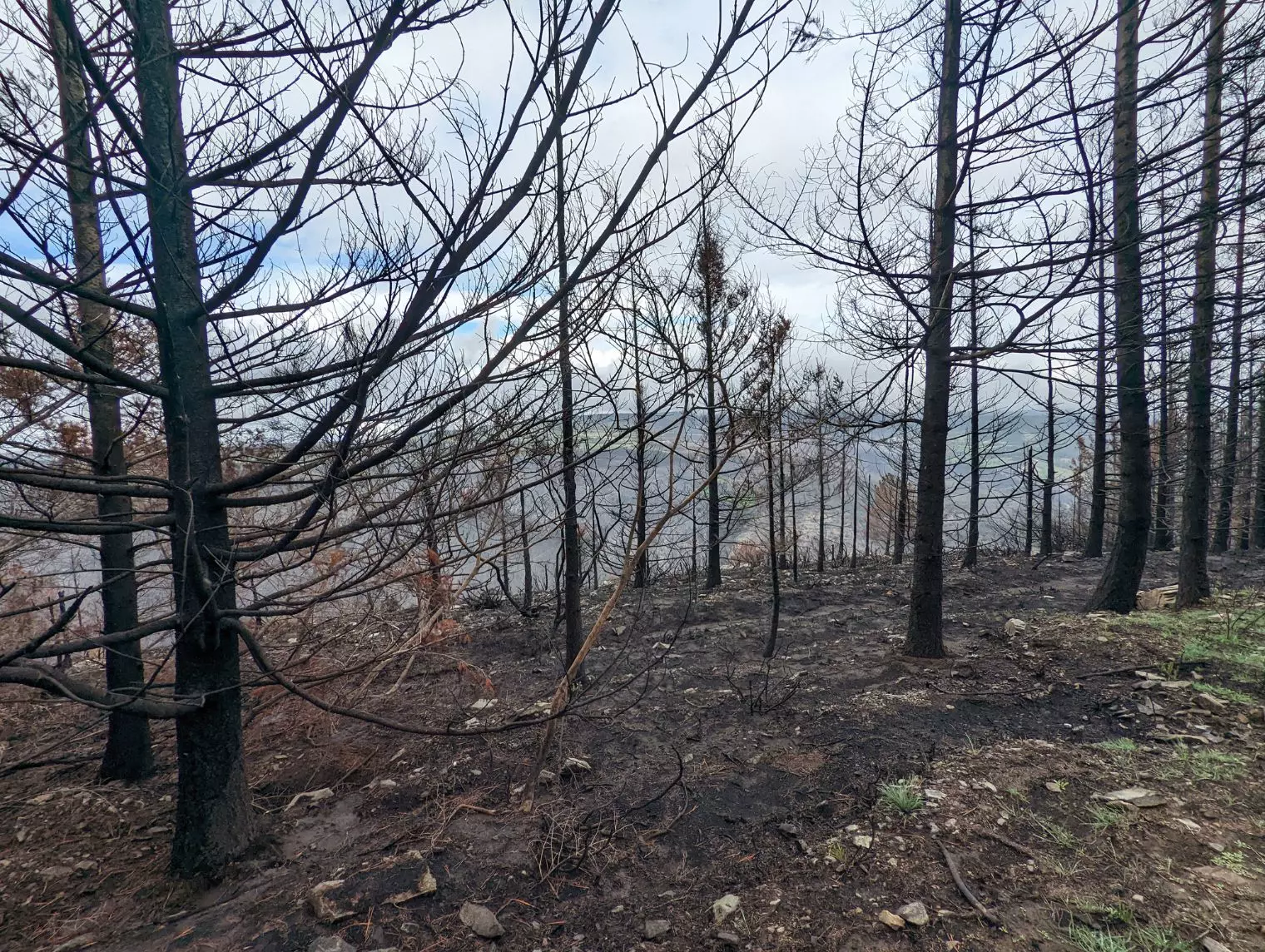 ACT Portugal Moto - Jour 2 - Forêts incendiées